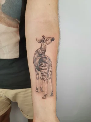 Okapi 6 11Zon | Culpa Mía Tattoo - Estudio Tatuajes Madrid